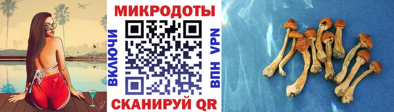 Купить где  Приволжск  Псилоцибиновые грибы ЛСД 