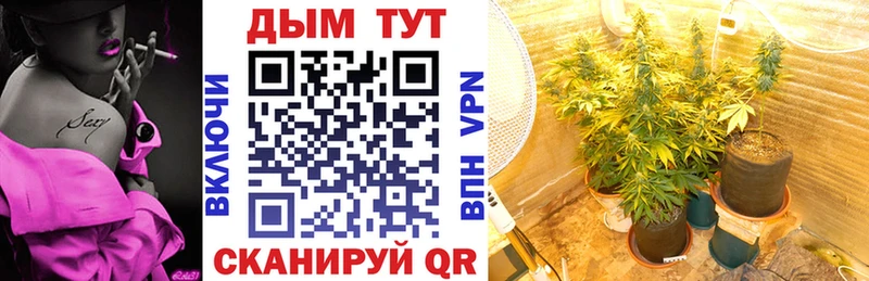 Купить закладки  Приволжск  Канабис LSD WEED 